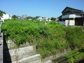 熊本県熊本市中央区坪井５丁目