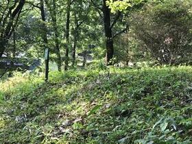 群馬県みどり市大間々町上神梅