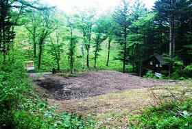 長野県北佐久郡軽井沢町大字軽井沢矢ケ崎