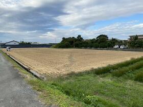 熊本県八代市川田町東