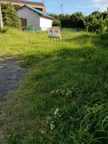 千葉県鴨川市広場