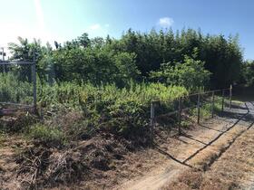 茨城県神栖市矢田部