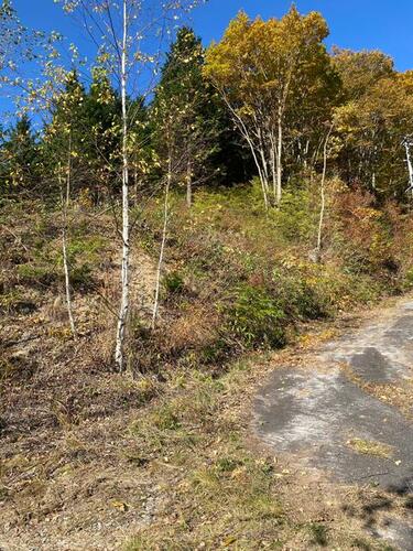 土地, 長野県 下伊那郡平谷村