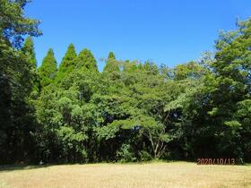 熊本県阿蘇郡南阿蘇村大字白川