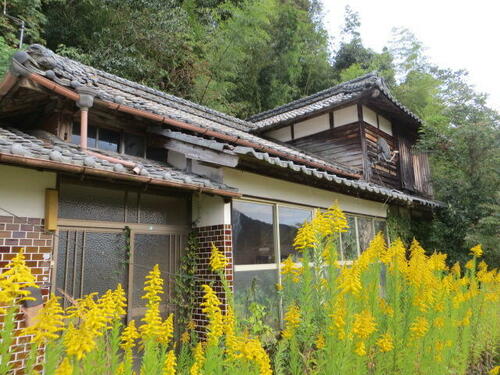 Land, Ureshino, Saga