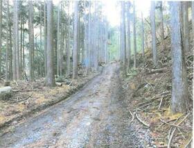 静岡県静岡市葵区入島