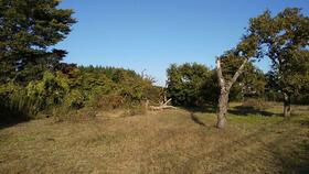 茨城県つくば市栗原