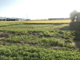 熊本県八代市植柳下町