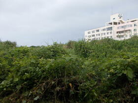 鹿児島県南九州市頴娃町別府
