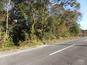 長崎県大村市東大村２丁目