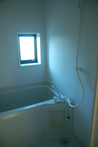 フレグランスビオラ_その他_2