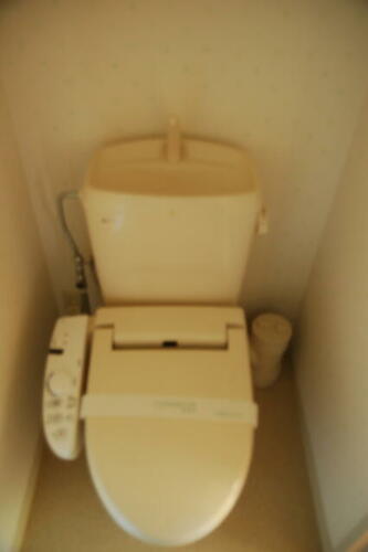 フレグランスビオラ_その他_3