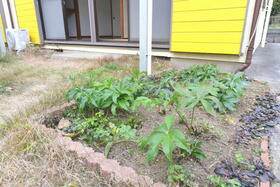 サン・ファミールB_その他_10