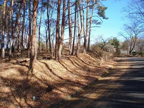 長野県小諸市大字大久保