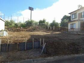 静岡県伊東市鎌田