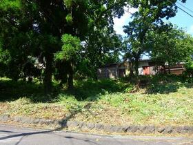静岡県伊東市八幡野