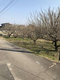 岐阜県岐阜市森西