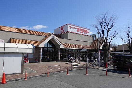 画像9:スーパーマツモト大井店