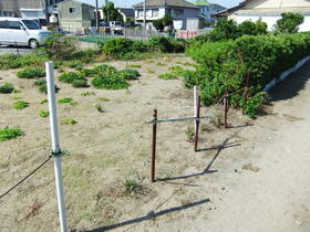 静岡県浜松市中央区篠原町