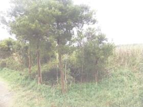 茨城県神栖市矢田部