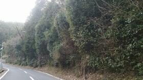 京都府宇治市二尾金剛谷