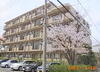 ドムスあざみ野 4階 築38年5ヶ月の賃貸物件
