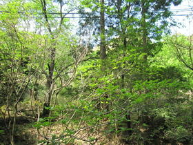 山口県長門市油谷伊上