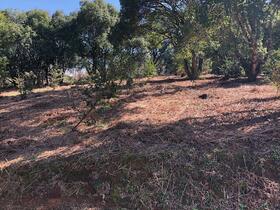 福岡県那珂川市大字成竹