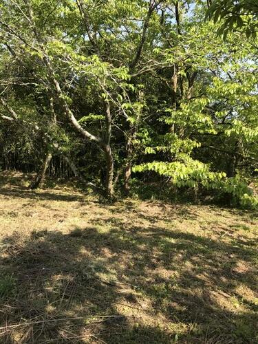 detached 熊本県山鹿市鹿央町千田