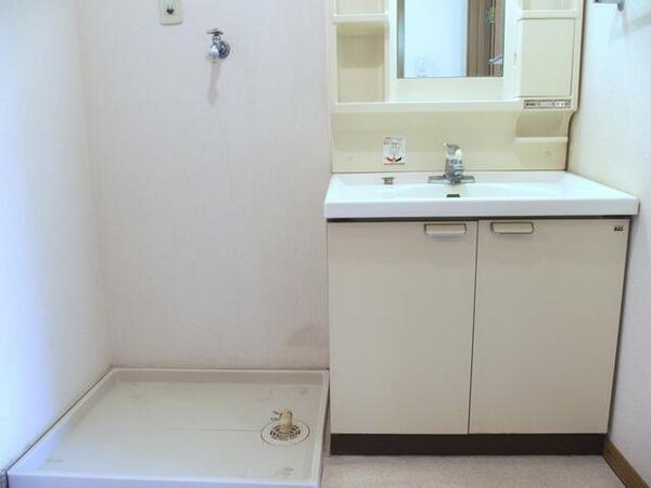 画像15:もちろん洗濯スペースは洗面所に確保