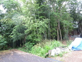 鳥取県西伯郡伯耆町金屋谷