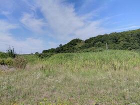 北海道石狩郡当別町獅子内