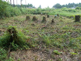 栃木県日光市山口