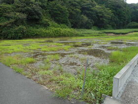 静岡県菊川市棚草