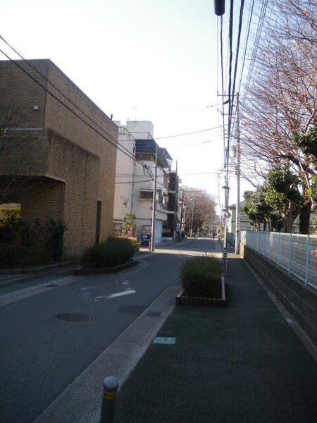 画像11:千葉大への通学路、春は桜のトンネルになります