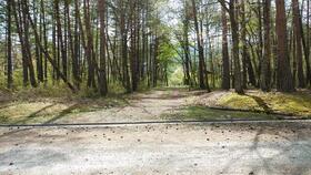 長野県大町市平