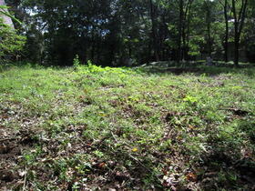 群馬県みどり市大間々町上神梅