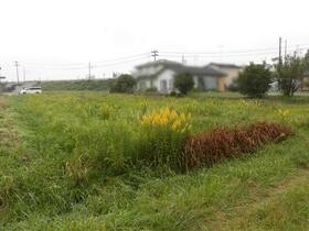 福島県伊達市保原町字下野崎