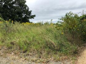 愛知県豊橋市王ケ崎町字四ツ塚