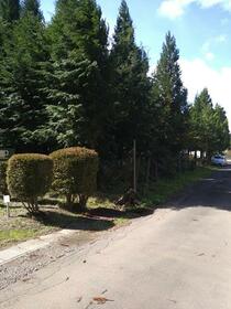 福島県西白河郡西郷村大字小田倉字勝負沢