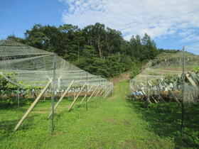 福島県福島市瀬上町字初午山