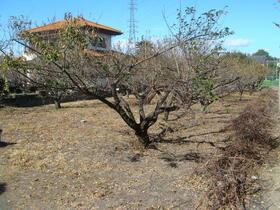 群馬県前橋市小屋原町
