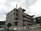 丹波篠山市大沢２丁目 3階建 築25年のイメージ