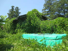 福島県福島市上野寺字和田