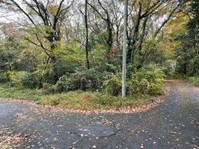 静岡県富士宮市猪之頭