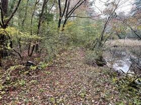 静岡県富士宮市人穴