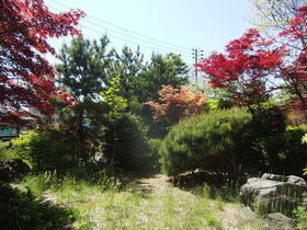 detached 秋田県能代市落合字中大野