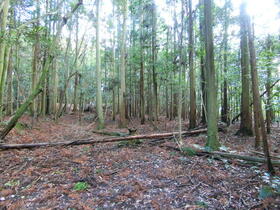 山口県下関市菊川町大字楢崎