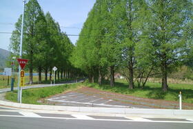 滋賀県高島市今津町深清水