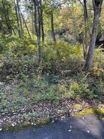 長野県上田市生田